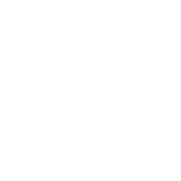 Idea