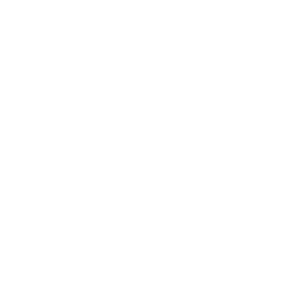 Idea